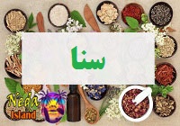 برگ سنا 