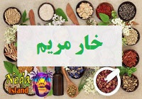 خار مریم