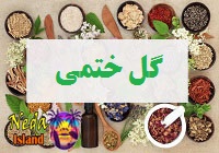 گل ختمی