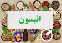 انیسون