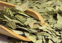 داروی گیاهی برگ سنا