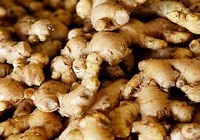 داروی گیاهی زنجبیل