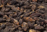 خواص گیاه هلیله سیاه