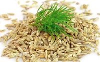 خواص گیاه رازیانه