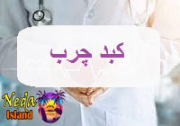 بيماري کبد چرب