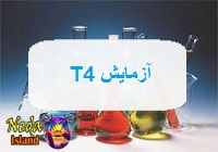 آزمایش T4 یا مقدار ترشح هورمون تیروکسین در خون یعنی چه