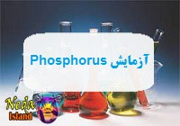 آزمایش Phosphorus یا p یا میزان سطح فسفر در خون یعنی چه 