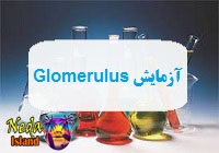 آزمایش Glomerulus یا اندازه گیری مقدار فیلتراسیون خون در گلومرول‌ ها یعنی چه 