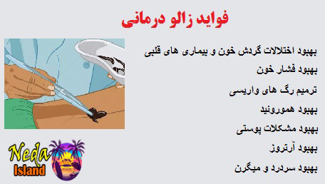 فواید زالو درمانی