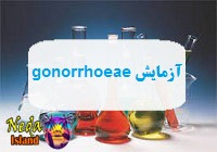 آزمایش gonorrhoeae یا تشخیص آلودگی به باکتری گونوره در خون یعنی چه