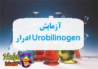 آزمایش Urobilinogen یا اندازه گیری سطح پیگمنت در ادرار یعنی چه 