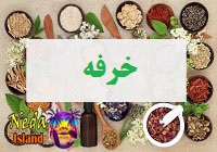 گياه دارويي خرفه