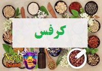 گیاه دارویی کرفس