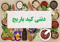 داروی گیاهی ژل موضعی دنتی کید باریج