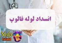 بيماري انسداد لوله فالوپ يا Fallopian tube obstruction چيست