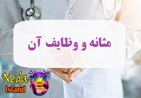 وظایف مهم مثانه چیست ؟