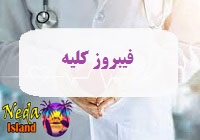بیماری اتصال بافت کلیه یا فیبروز کلیه یا Renal Interstitial Fibrosis چيست