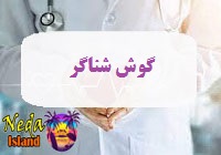 بيماري گوش شناگر 