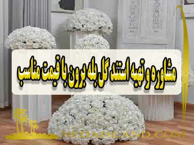 مشاوره و تهیه استند گل بله برون با قیمت مناسب