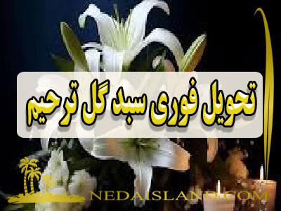 تحویل فوری سبد گل ترحیم