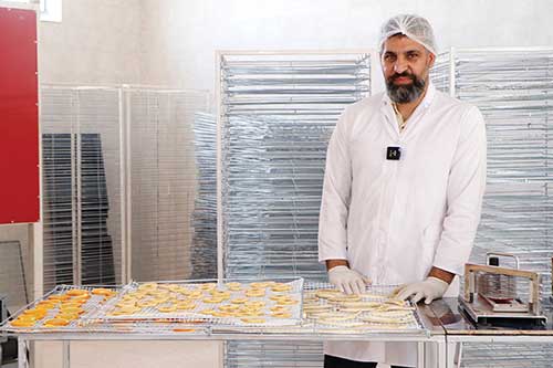 چگونه خط تولید میوه خشک راه‌اندازی کنیم؟