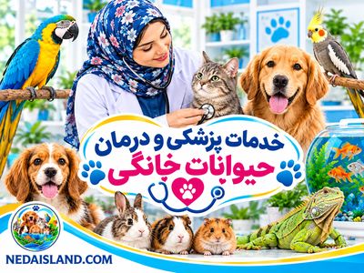 خدمات پزشکی و درمان حیوانات خانگی