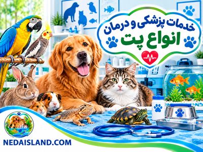 خدمات پزشکی و درمان انواع پت