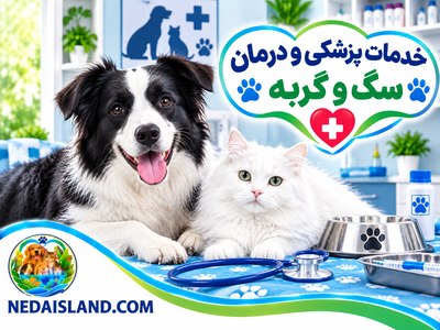 خدمات پزشکی و درمان سگ و گربه