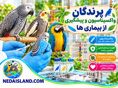 پرندگان - واکسیناسیون و پیشگیری از بیماری ها