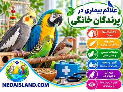 علائم بیماری در پرندگان خانگی