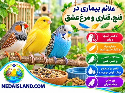 علائم بیماری در فنچ، قناری و مرغ عشق