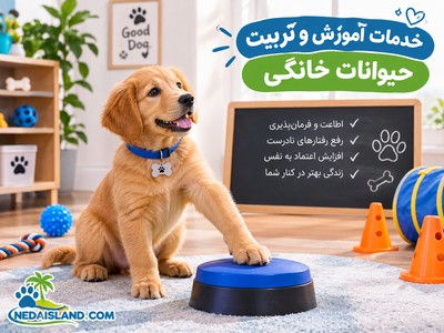 خدمات آموزش و تربیت حیوانات خانگی
