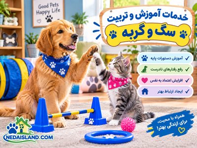 خدمات آموزش و تربیت سگ و گربه