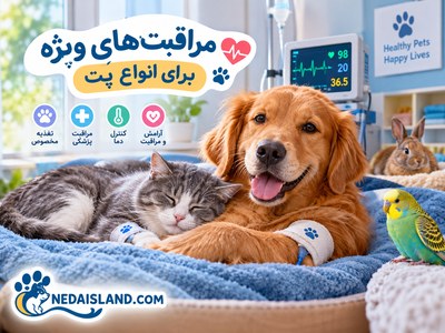 مراقبت‌های ویژه برای انواع پت