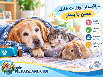 مراقبت از انواع پت خانگی مسن یا بیمار